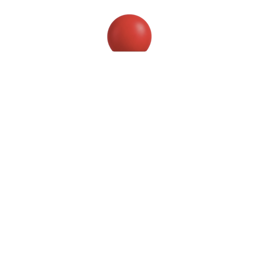 PAIR'D ORB - Lid